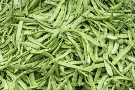 green beans at the grocery storeの写真素材