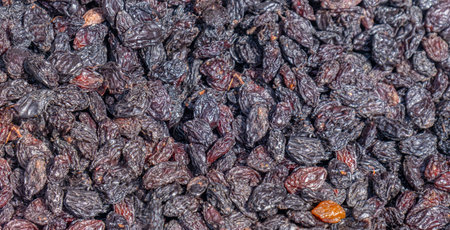 Raisin texture. Dried black Grapes.の写真素材
