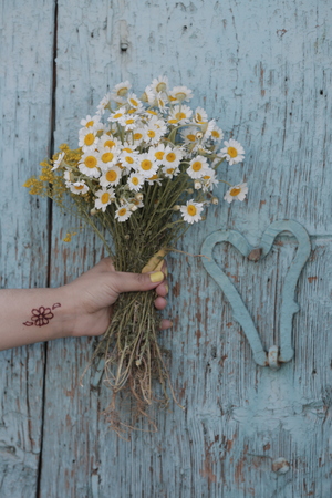 A woman is knocking the door with flowers in her handの写真素材