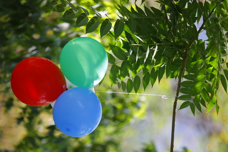 Balloons in the gardenの写真素材