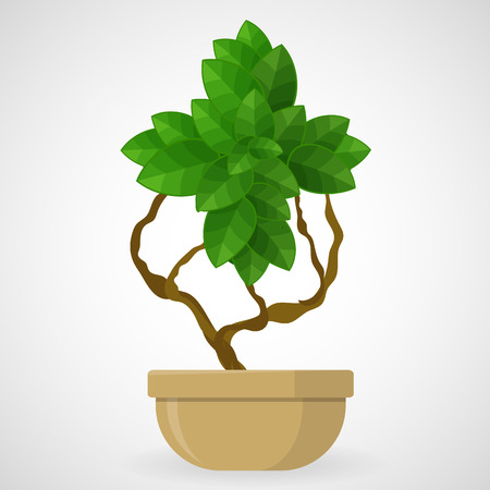 Plus symbol Tree in the potのイラスト素材