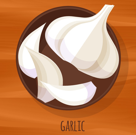 Garlic flat design vector icon. Flavor spices and herbs menu template collection.のイラスト素材