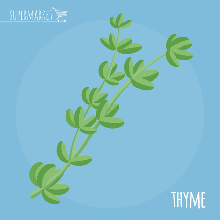 Thyme flat design vector icon. Flavor spices and herbs menu template collection.のイラスト素材