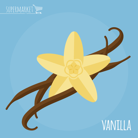 Vanilla flat design vector icon. Flavor spices and herbs menu template collection.のイラスト素材
