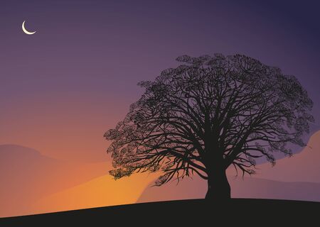 Moonlight night  tree silhouette on the beautiful tropical night abstract background. Forest and environment conservation vector illustration concept.のイラスト素材