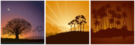 Tropical night backgrounds.のイラスト素材