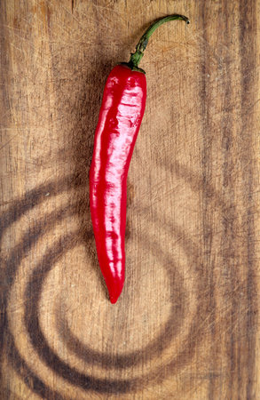 Red hot chilli.の写真素材