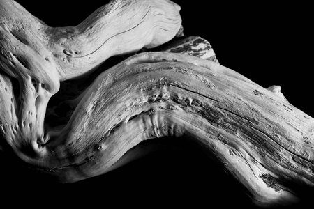 Wooden sculptureの写真素材