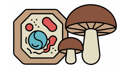 Mushroom icon. Mushroom icon. Mushroom icon. Mushroom icon. Mushroom icon. Mushroom icon. Mushroom icon. Mushroom icon. Mushroom icon. Mushroom icon. Mushroom icon. Mushroom icon.のイラスト素材