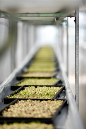 Organic Vertical farmingの写真素材