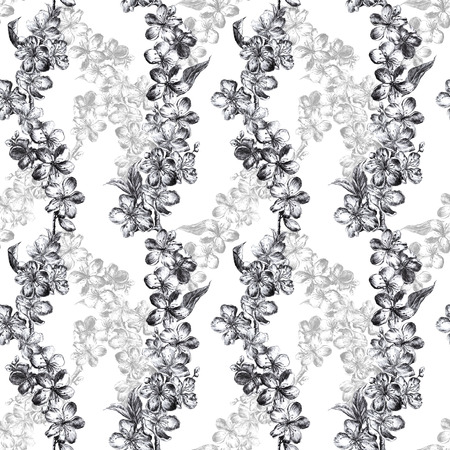 Hand drawn charcoal pencil illustration flowers of the gray pulm blossoms and translucent flowers layer in vintage style. Beautiful elegant seamless pattern in graphic style on a white backgroundの写真素材