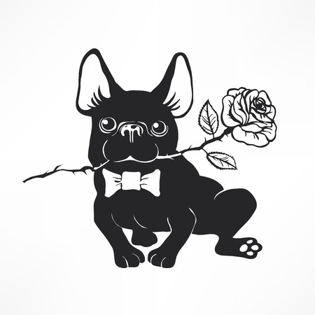 Cute and funny cartoon puppy French Bulldog with bow-tie and roses. Vector illustration for sticker, patch or as a print. Hand drawn elements for congratulation. Hipster insignia in comic styleのイラスト素材