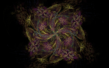 image interlacing lines and shapes to twist in the form of a flower yellow and lilac color on a black backgroundの写真素材