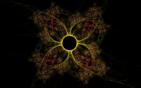 Fairy flower on a dark backgroundの写真素材