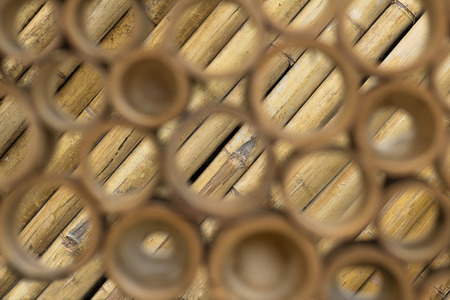 bamboo fence arranged in a lineの写真素材