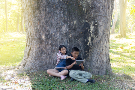 Boy and girl playing tablet in the park tree background with lightの写真素材