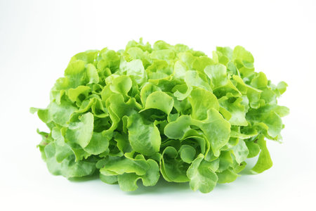 Close-up fresh salad on white isolated backgroundの写真素材