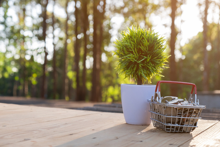 Close-up coin in basket and artificial tree on wooden table blurred backgroundの写真素材