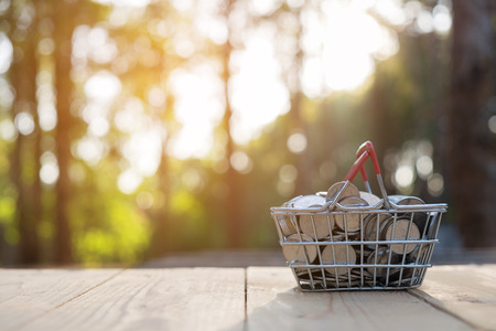 Coin in basket on wooden table, outdoor, blurred bokeh nature background,の写真素材