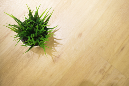 Artificial small tree on pot on wooden table, top view backgroundの写真素材