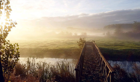 Misty Bridge morningの素材