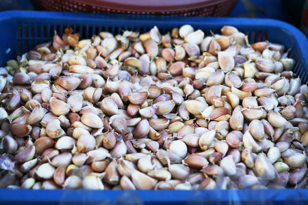 garlic in the basketの写真素材