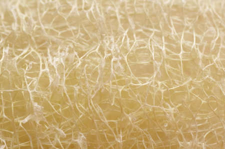 Close-up of loofah spongeの写真素材