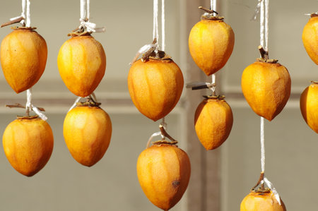 dried persimmon -dried fruit made by drying Japanese persimmons-の写真素材