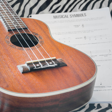 ukulele hawaii acoustic guitarの写真素材