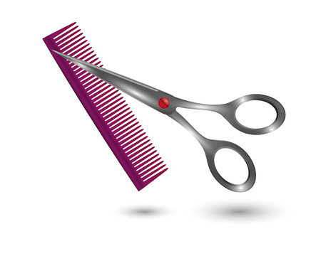 small comb and metal scissors on white backgroundのイラスト素材