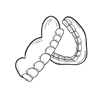 sketch of the denture on white background, isolated