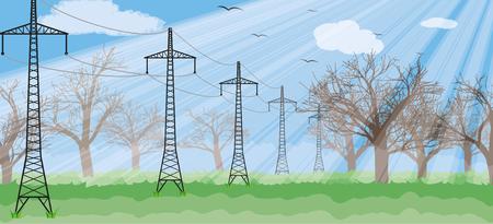 forest in the sunny day with sun rays and silhouettes of the treesのイラスト素材