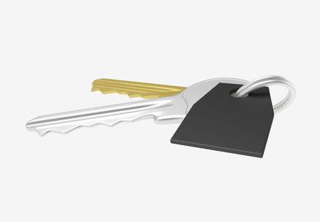 Gold and silver key and black trinket with silver ring for locking lock and keep your private in...