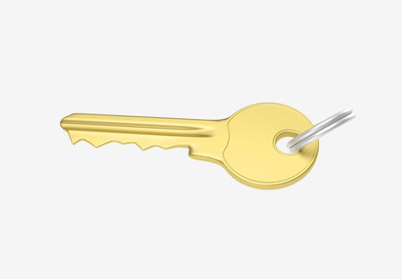 Gold key with silver ring for locking lock and keep your private in safe. 3D illustration