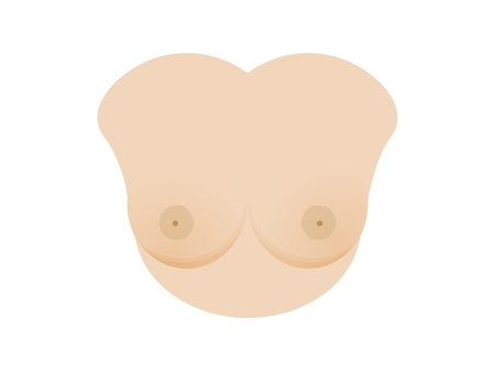 Woman`s bust with perfect breasts. Illustration of female`s thorax isolated on white background.のイラスト素材