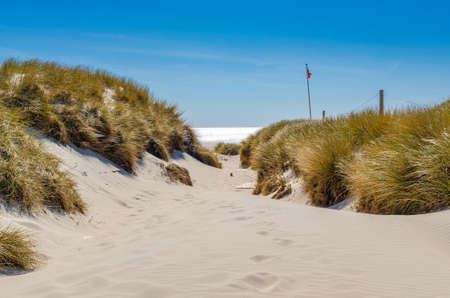Sandy path through two dune hills with green dune grass. The open sea is visible. Bright, sunny weather. A small red flag can be seen.の写真素材