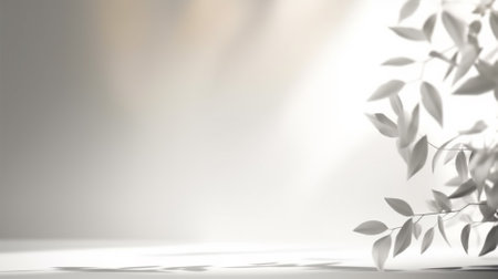 3d rendering of white wall with shadow and plant. Abstract background.の素材