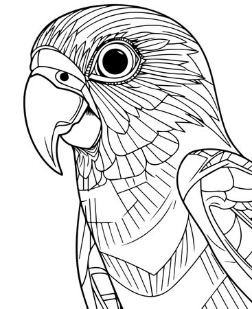 Black and white illustration of parrot for coloring book or page.の写真素材