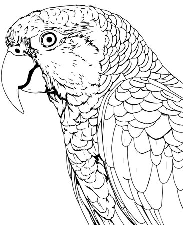 Parrot.Vector illustration ready for vinyl cutting.Sketch tattoo style.の写真素材