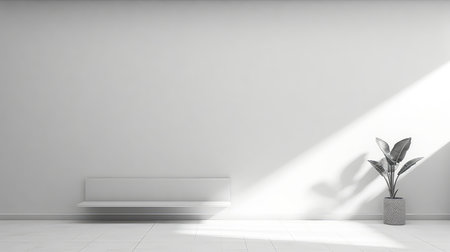 Empty white shelf with plant and shadow on wallの素材