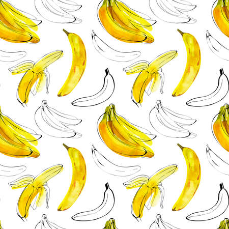 Seamless pattern with watercolor illustration bananas with ink sketch line on whiteの写真素材