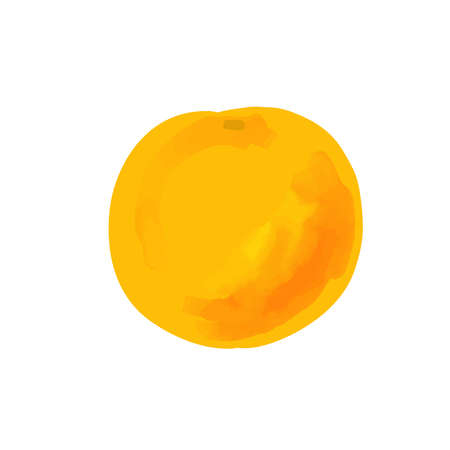 Illustration of grapefruit in a watercolor styleのイラスト素材