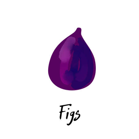 Illustration of a figs isolated on a white backgroundのイラスト素材