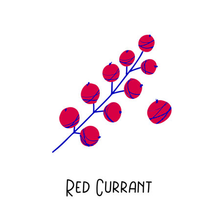 Red Currant illustration with texture isolated on white backgroundのイラスト素材