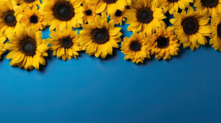 Sunflower border illustration on blue background.の素材