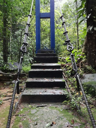 An old bridge in the forest...の素材