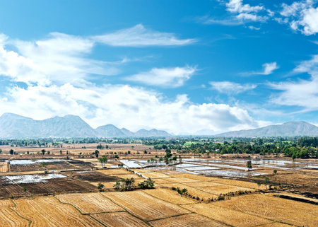 Rice paddies in Thailand
