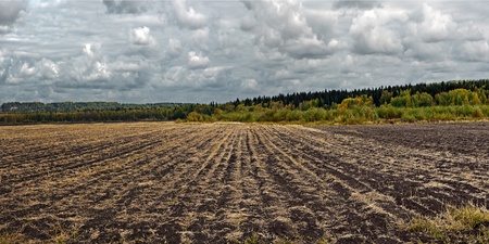 Rural landscape in overcast weatherの写真素材