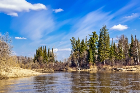 Spring landscape の写真素材