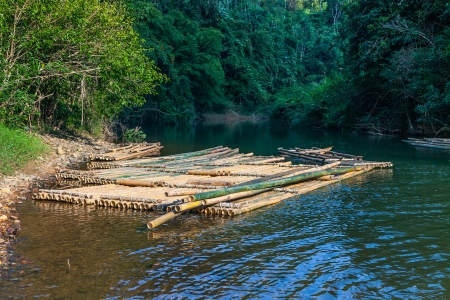 Bamboo raft on the river in the reserve Khao Sok  Thailand の写真素材
